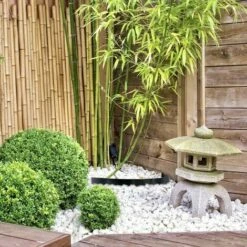 OSE Anti Rhizome, Racine, Bambou Barrière 5 Mètres -Boutique en ligne OSE 3366557 4