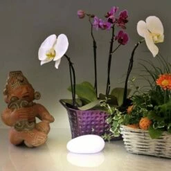 OSE Galet Décoratif Lumineux : Lampe Galet Ou Veilleuse LED 5 OSE Galet Décoratif Lumineux : Lampe Galet Ou Veilleuse LED -Boutique en ligne OSE 5374953 3